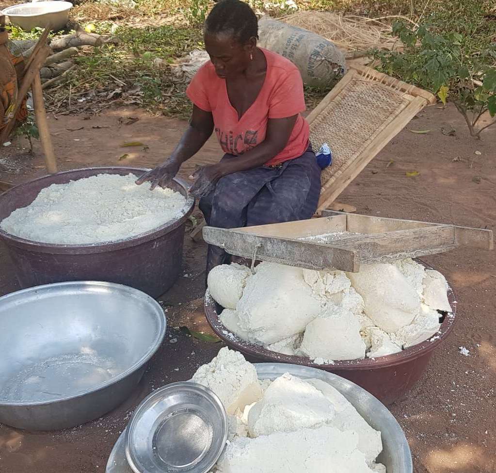 femme agricultrice CI