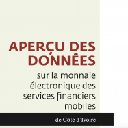 Aperçu des données sur la monnaie électronique des services financiers mobiles