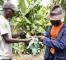 les jeunes et l'agriculture